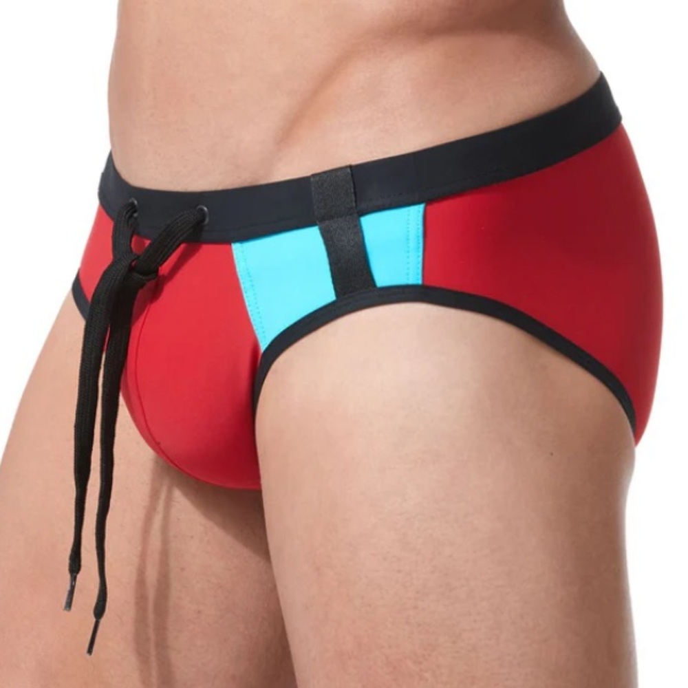 Gregg Homme Cruising Swim Brief